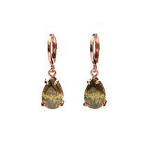 Load image into Gallery viewer, Fashion Gold Earrings