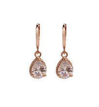 Load image into Gallery viewer, Fashion Gold Earrings